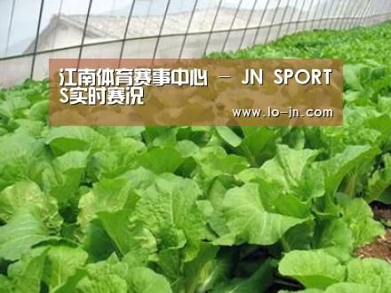 种植基地一