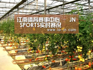 种植基地二(图1)